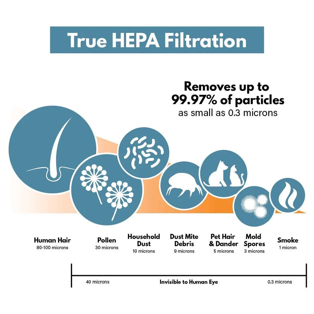 Filter-Monster – Replacement HEPA Filter with 4 Carbon Pre-Filters Set, 2 HEPA and 8 Carbon Filter Pack - Compatible with GermGuardian FLT5000 Air Purifier Filter Size C