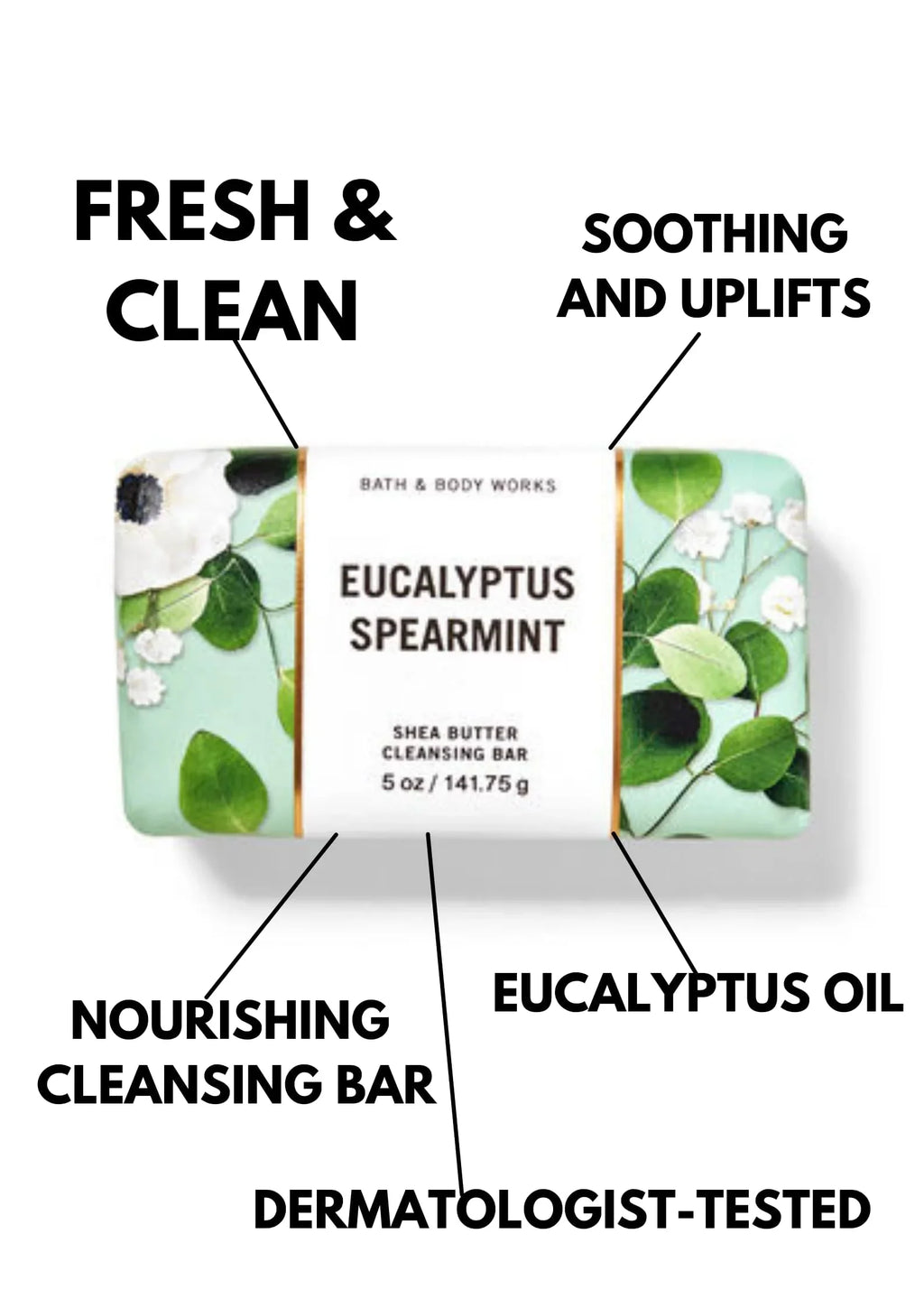 Dr Teal s Body Lotion Moisture Rejuvenating Eucalyptus & Spearmint 16 fl oz Pack of 2