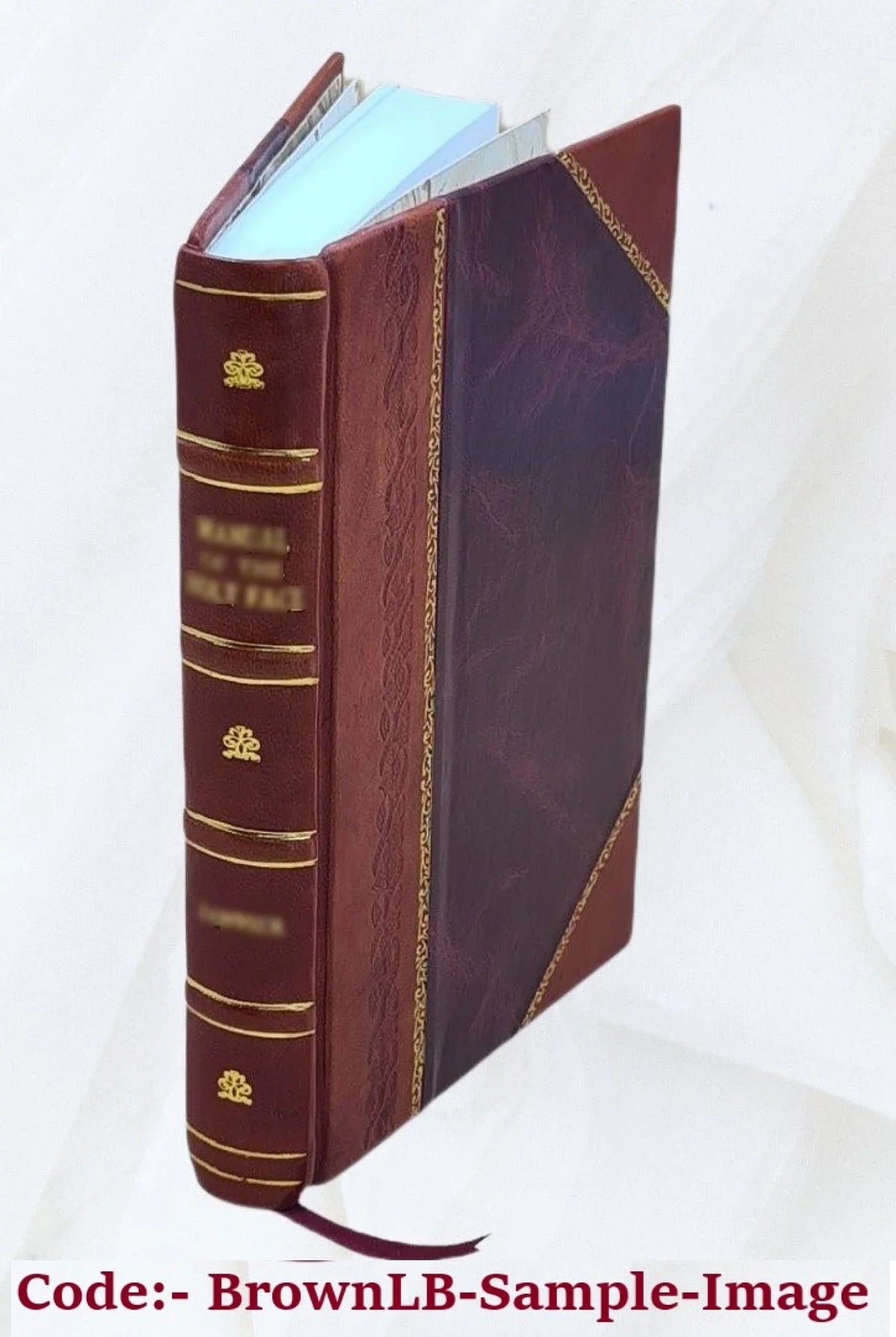 Forschungen im gebiete der älteren religiösen, politischen und literärischen bildungsgeschichte der völker Mittel-Asiens, vorzüglich der Mongolen und Tibeter. 1824 [Leather Bound]