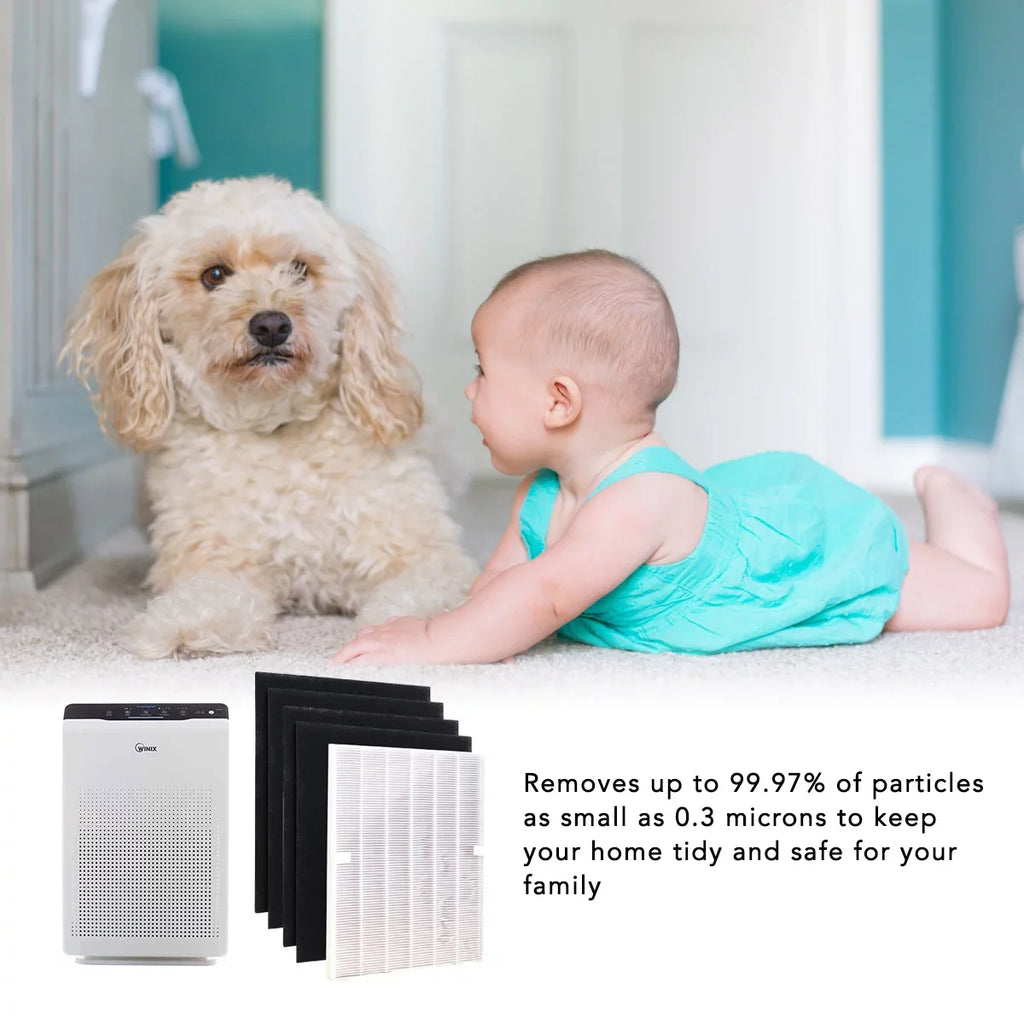 Hepa Filter for Winix 115115 Replacement Filter A for C535, 5300-2, 6300-2,P300, 5300 and 5500 (1 Set)