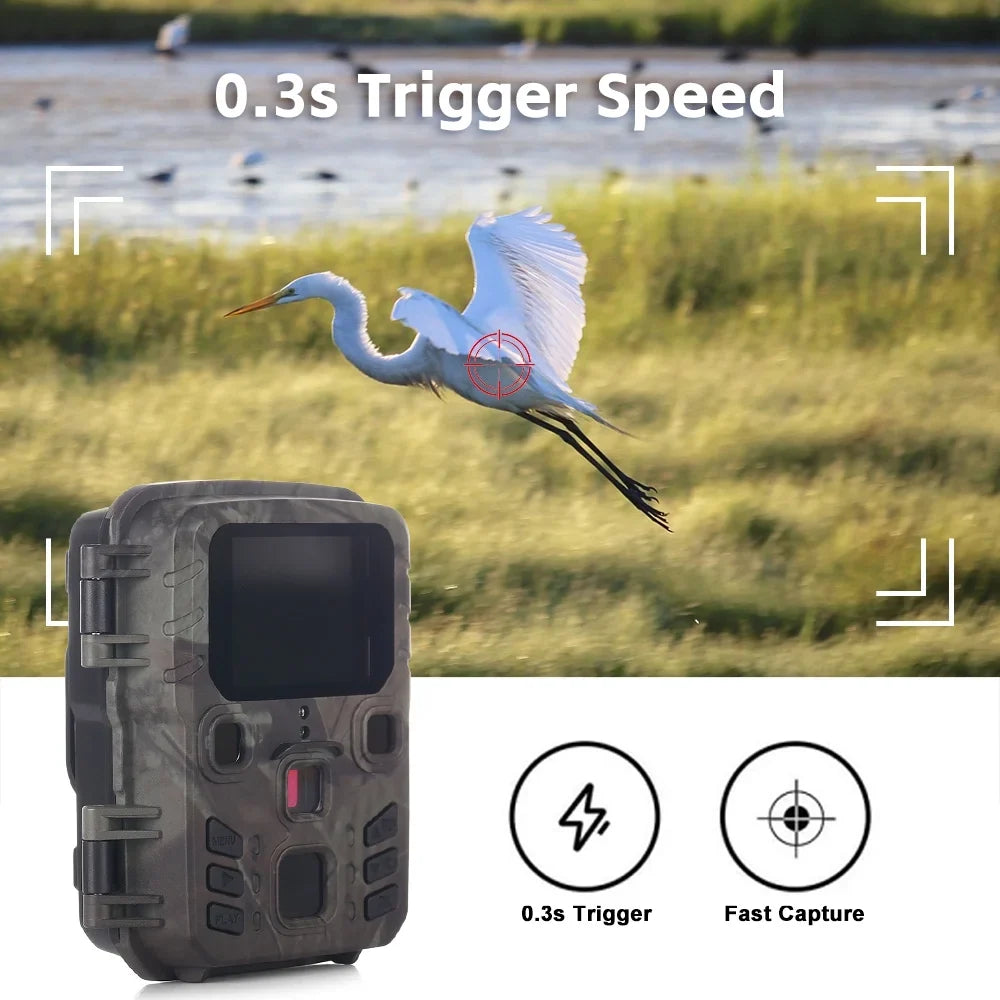 Nebublu Camcorder,0.3S Speed Motion Vision Camera - Observation Camera IP65 Waterproof Speed Camera IP65 Motion 0.3s Speed Waterproof Portable Animal/Plant Vision Motion 0.3s Camera Vision Motion